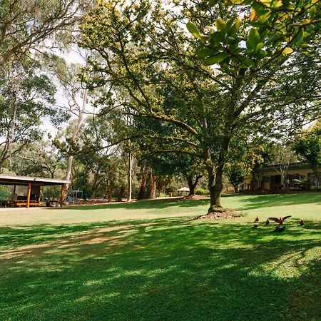 بوريبونكاه Alpine Riverside Cottages المظهر الخارجي الصورة